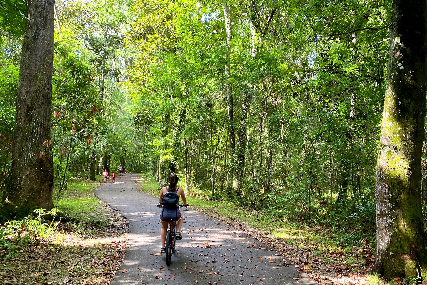 Black Creek Trail Fleming Island FL SOUTH OF SEEDS